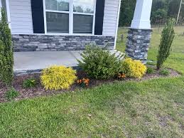 Tree & Shrub Planting in Westbrook project 5
