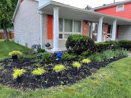 Tree & Shrub Planting in Westbrook project 6