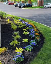 Tree & Shrub Planting in Westbrook project 7