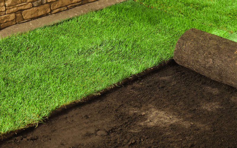 Sod Installation in Windham project 1