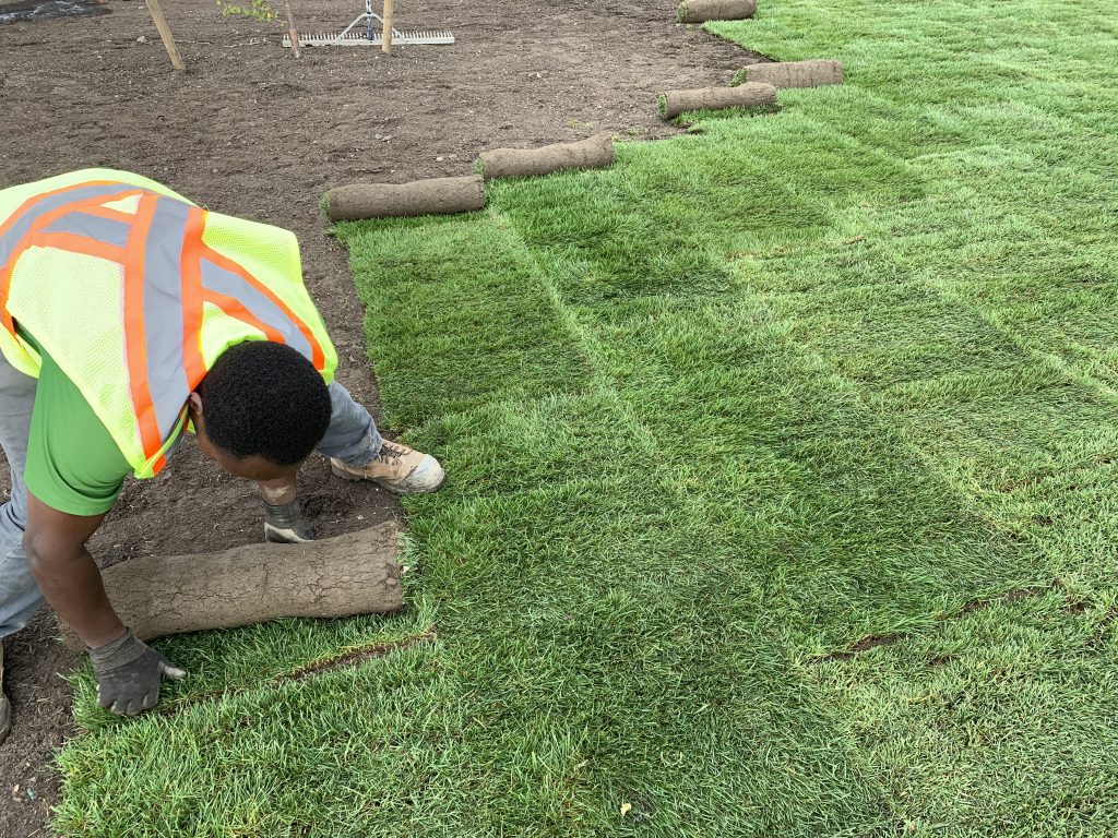 Sod Installation in Windham project 2