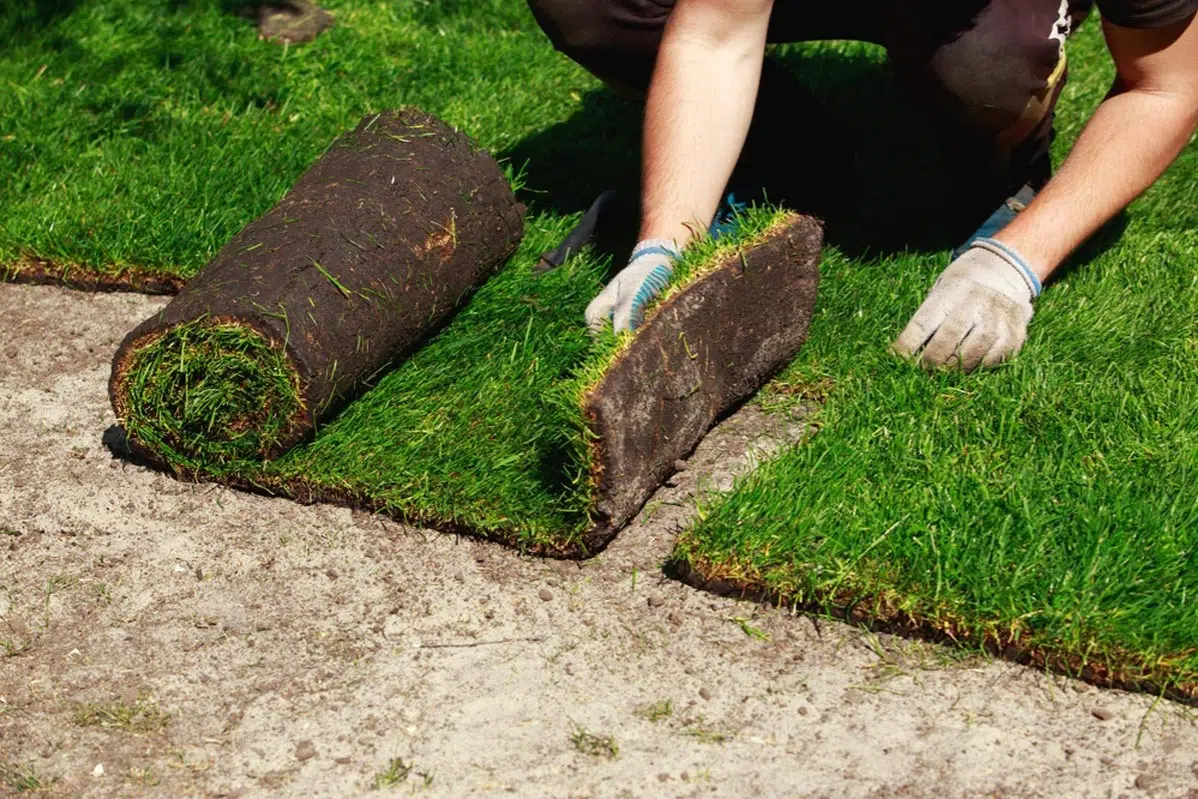 Sod Installation in Windham project 5