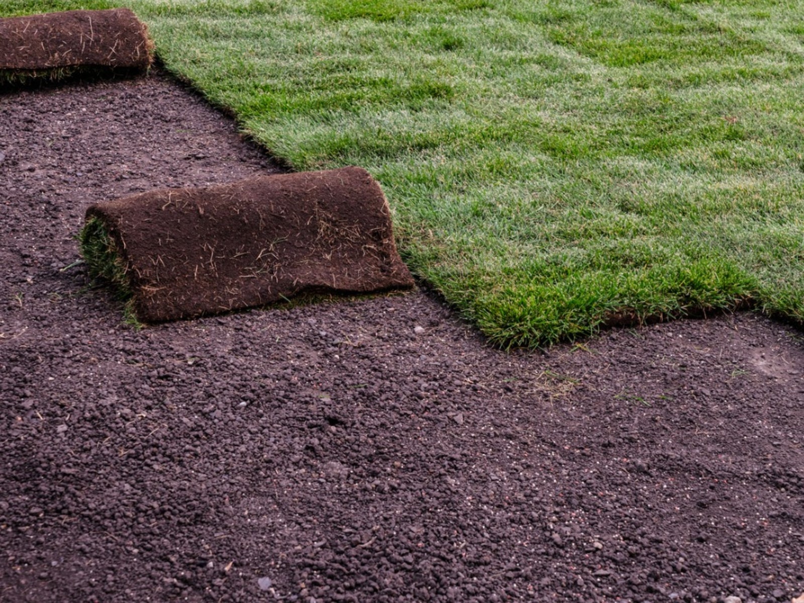 Sod Installation in Windham project 6